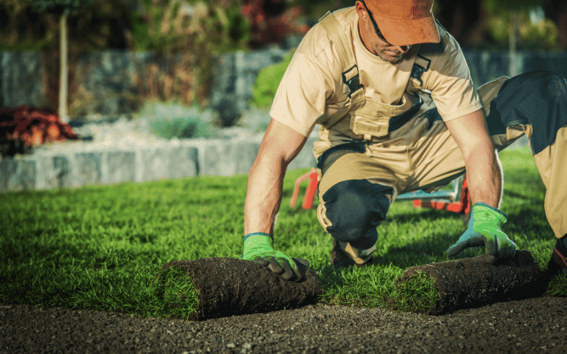 Green Landscaping and Outdoor Planning.